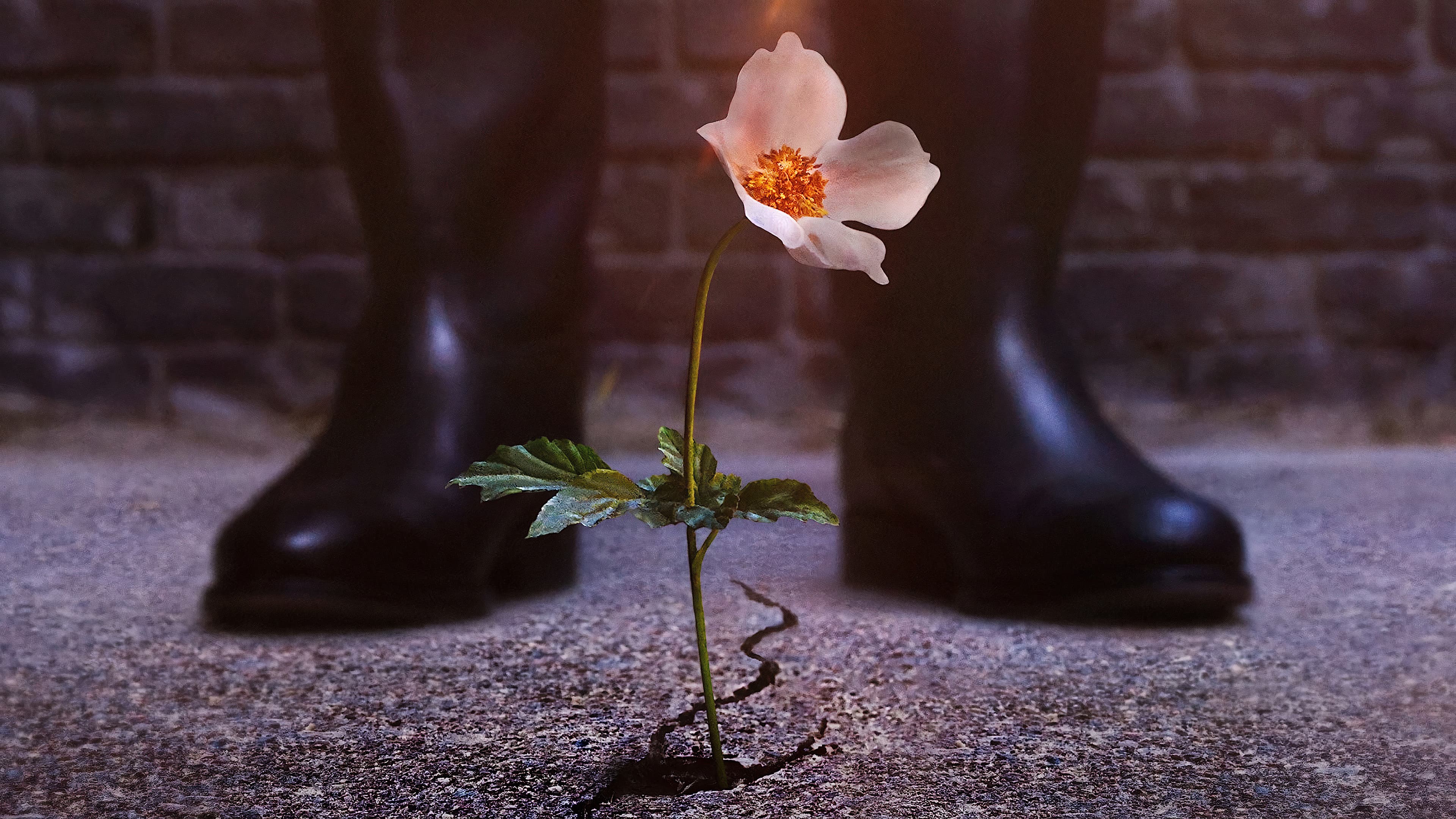 Thế Giới Của Phát Xít (Phần 4)