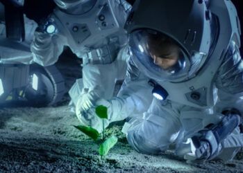 NASA wants to enrich the menu of astronauts with the production of food in space