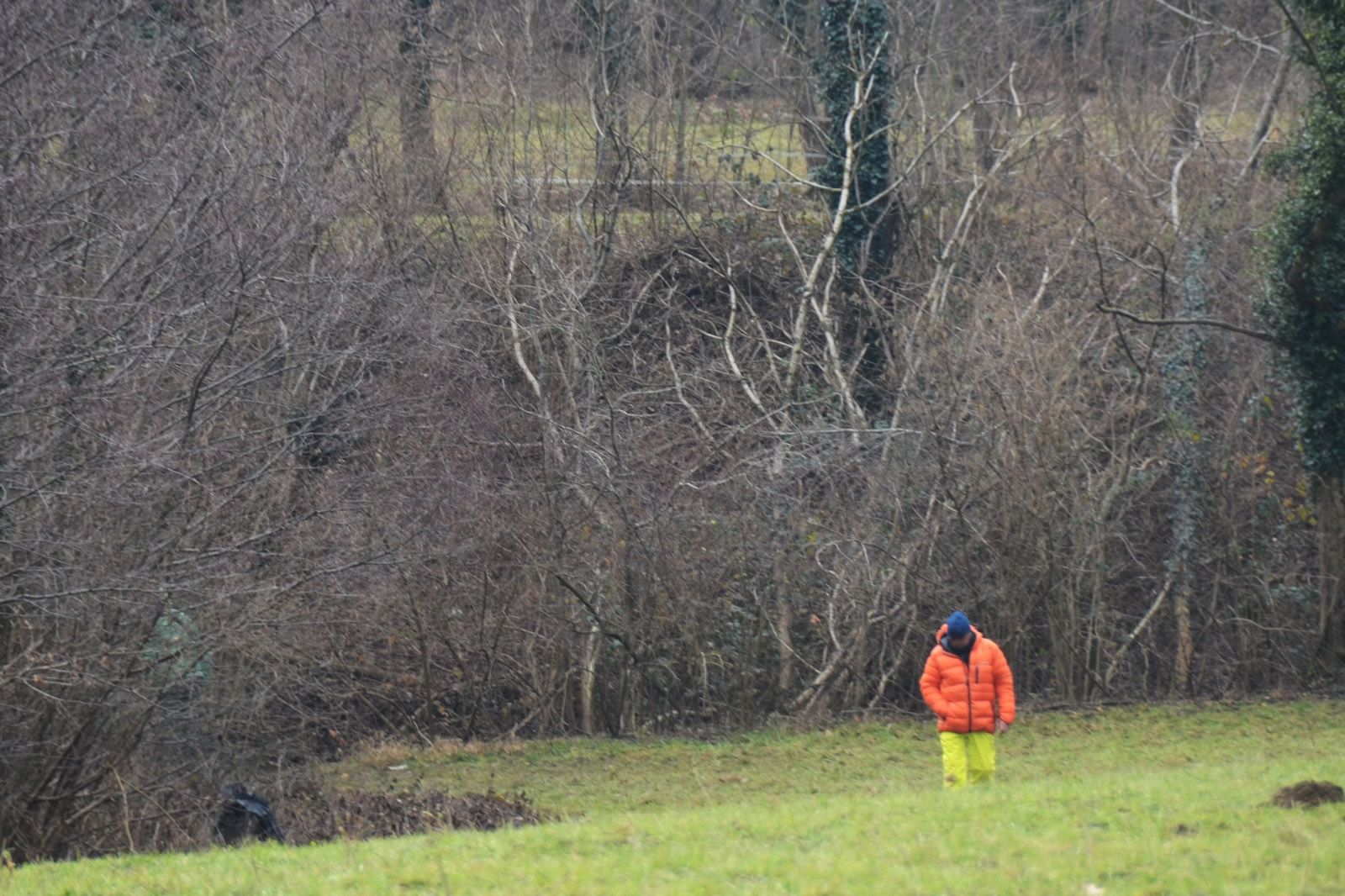 suelloparendio__1_.Jpeg (468 KB)