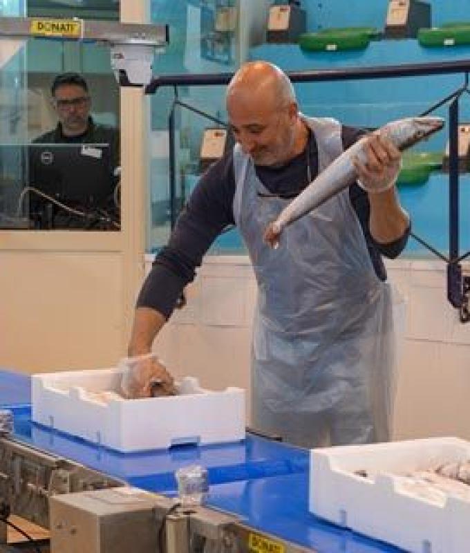 Fish market in the port of Corigliano-Rossano, the first telematic auction was a success