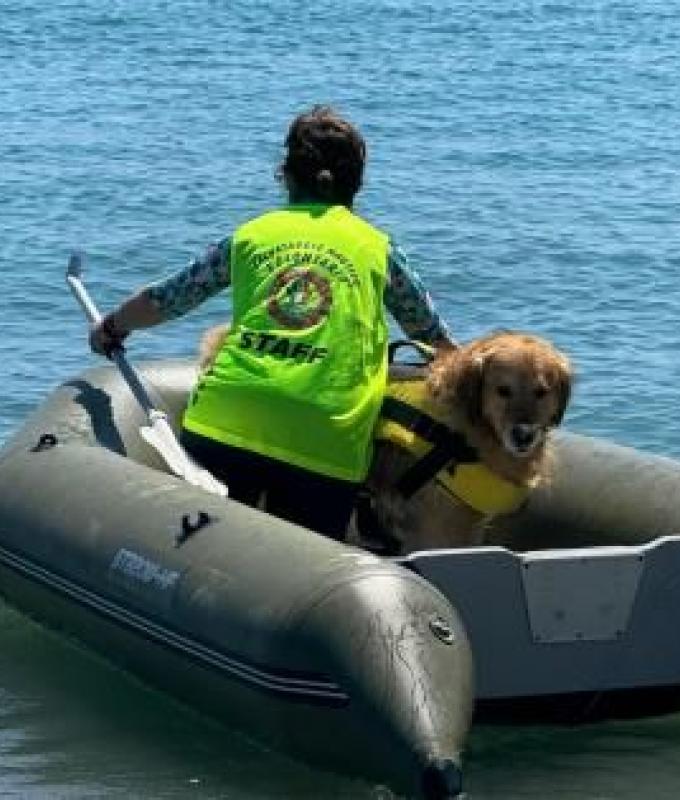 Bisceglie, patents awarded to volunteers of the Nautical Rescue Dog School