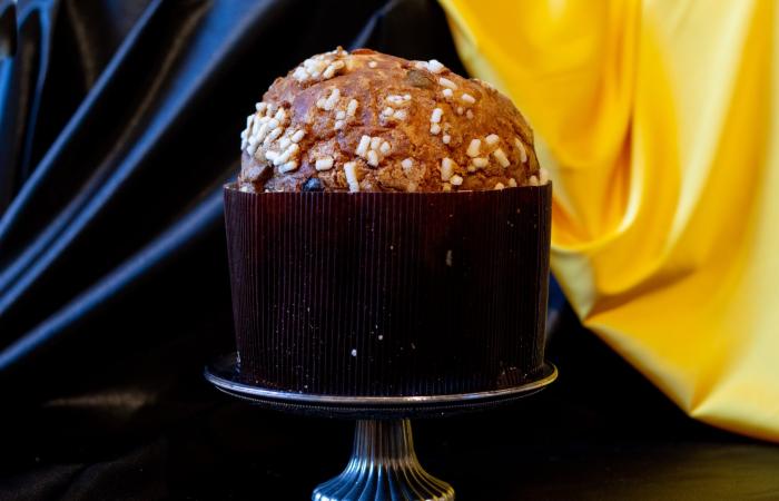 The 31 best artisan panettone of 2022 according to Dissapore