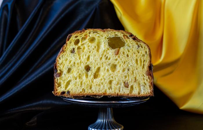The 31 best artisan panettone of 2022 according to Dissapore