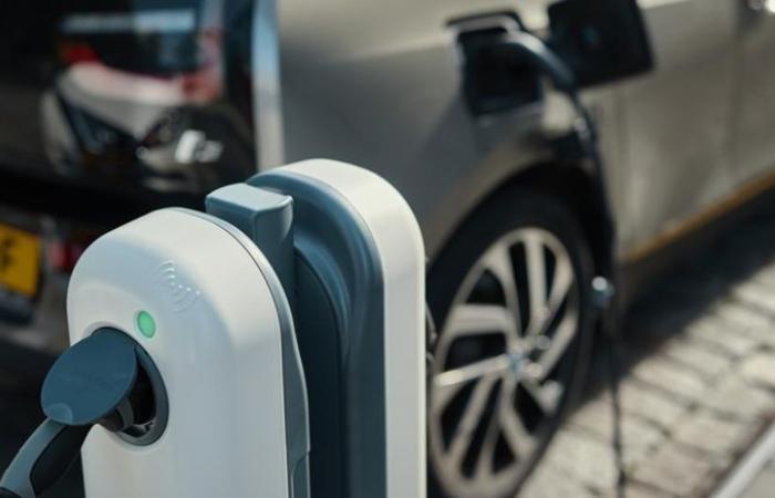 Electric cars: Switzerland close to driving ban. Sweden stop incentives
