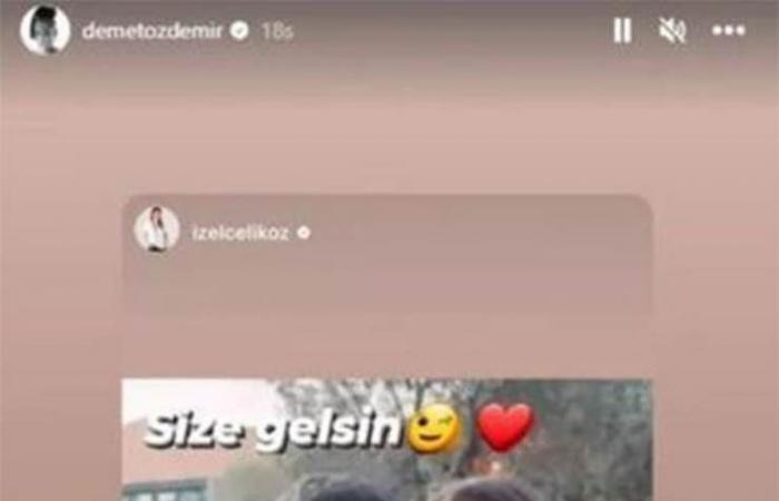 Demet Ozdemir pregnant? The hint that she made fans prick up their ears
