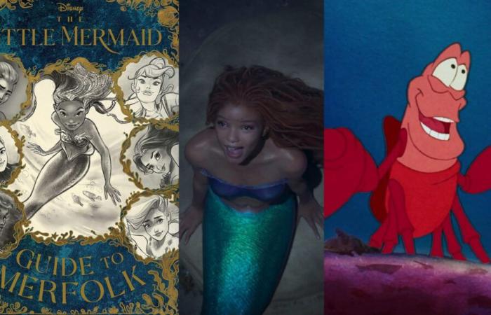 Ariel’s Sisters’ Ethnicity and Sebastian’s Design Revealed!