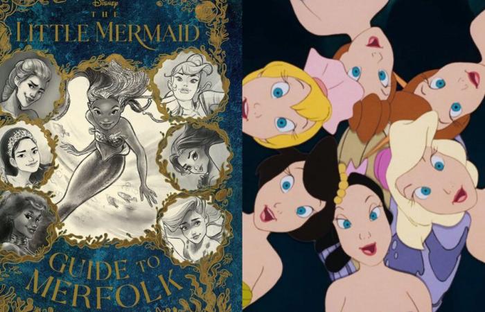 Ariel’s Sisters’ Ethnicity and Sebastian’s Design Revealed!