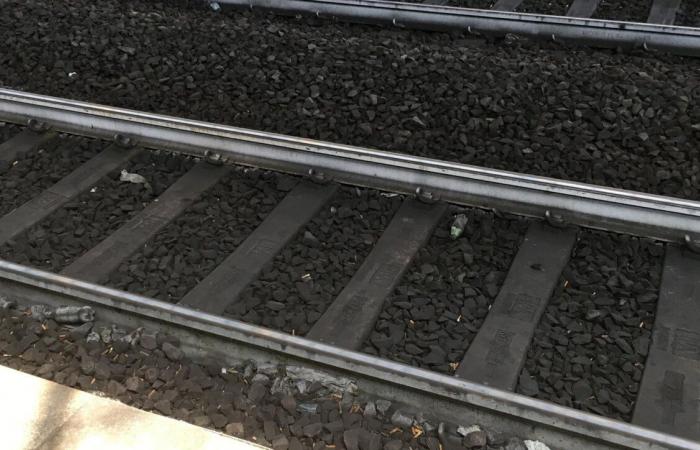 Seregno (Monza), pushed against the train for a sweatshirt: 15-year-old injured