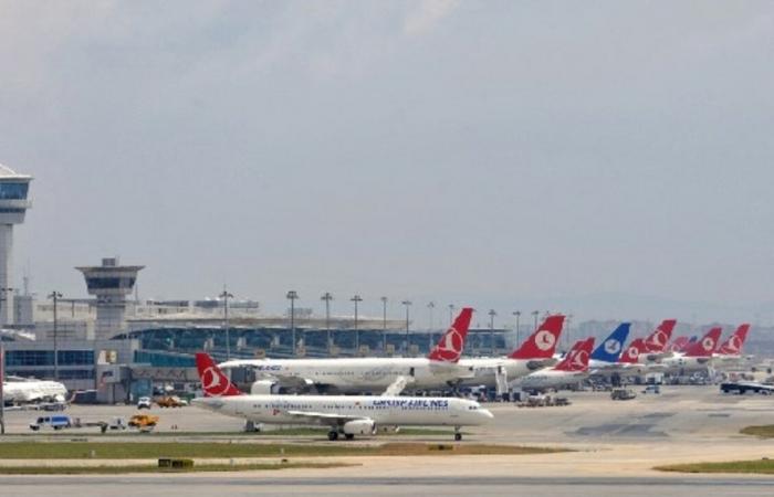 Istanbul, airline loses his dogs: man despairs
