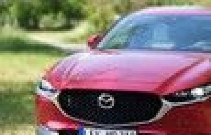 Mazda CX-60, now it’s diesel’s turn: huge, powerful and consumes little | Review