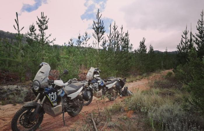 Test the new Husqvarna Norden 901 Expedition 2023: how it goes, strengths and weaknesses