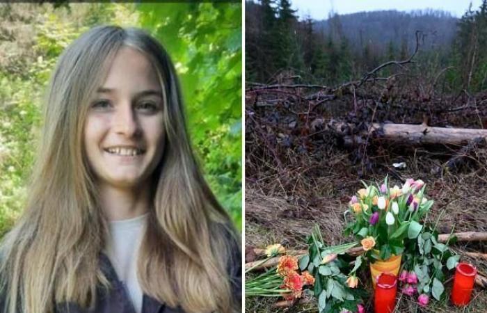 Freudenberg, 12-year-old Luise killed in the woods by two friends of her age with “several stab wounds” – -