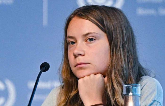 What car does Greta Thunberg have? The choice will surprise you
