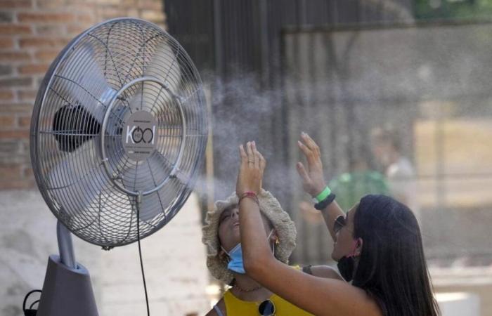 Record heat in Palermo, 47 degrees is the highest recorded temperature ever