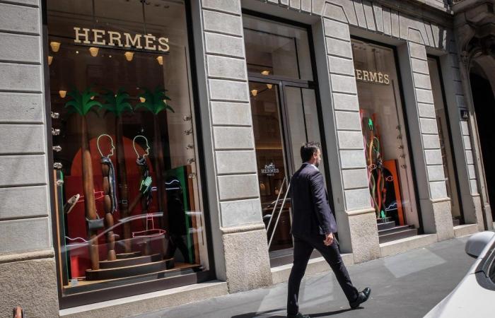 Birkin Himalaya, the Hermès bag stolen from the shop in via Montenapoleone in Milan