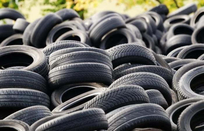 National tire register, the tool to manage end-of-life tires is born