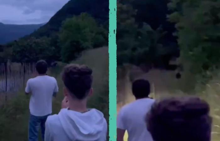 the images of the dangerous gesture of three boys in Trentino