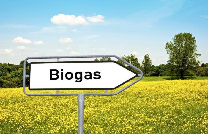 Biogas, the Cib Farming Days starts from Piedmont. Doors open to the future of agriculture