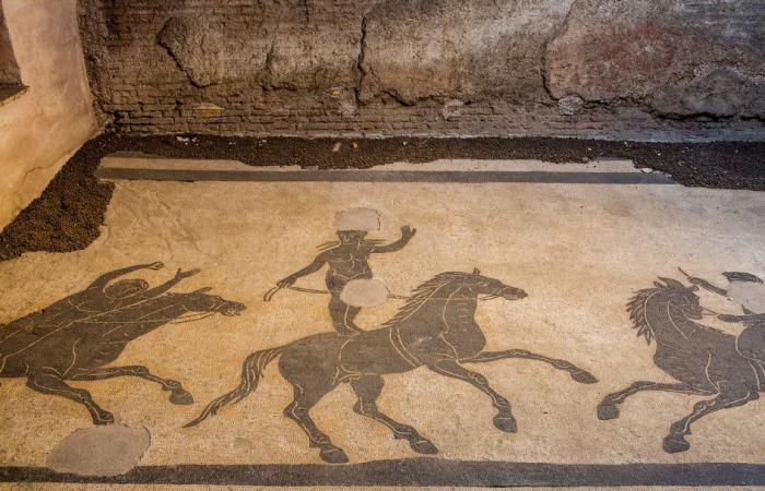Opening to the public of the mosaics of Ancient Rome in the basement of the Palace (…)