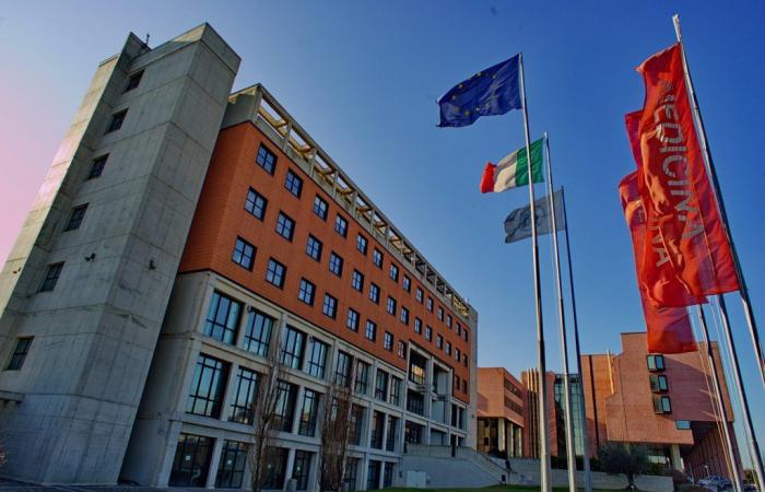 Ancona, Polytechnic University of Marche: 9 out of 10 students find work after graduation – News Ancona-Osimo – CentroPagina