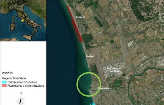 Pd and CGIL say no to cruise ships in the tourist port of Fiumicino: “This violates law 84”