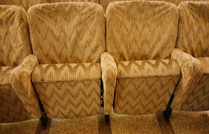 The Municipality is putting the old Civic seats up for sale: the minimum price is 30 euros each, but you have to buy at least two