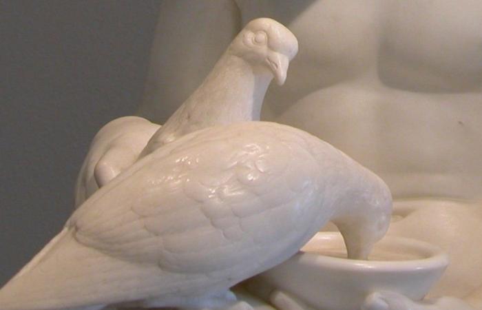 Love that waters the doves by Luigi Bienaimé – Michelangelo Buonarroti is back