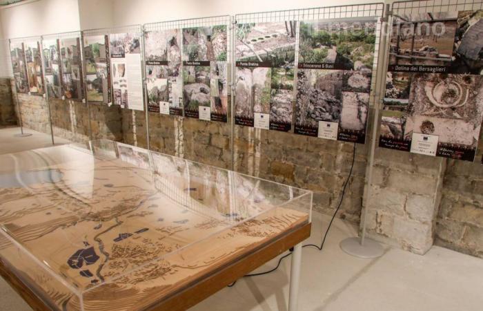 The program for the exhibition “From Ljubljana to Trieste, the Stone of Aurisina, Karst and Istria in Italy and around the world” is rich