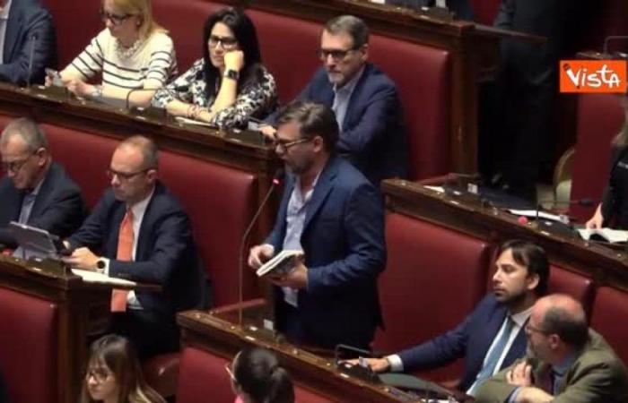 Brawl in Parliament, the Bureau of the Chamber suspends 11 deputies: among them also Iezzi and Donno. Fontana: «The confrontation must never transcend into violence»