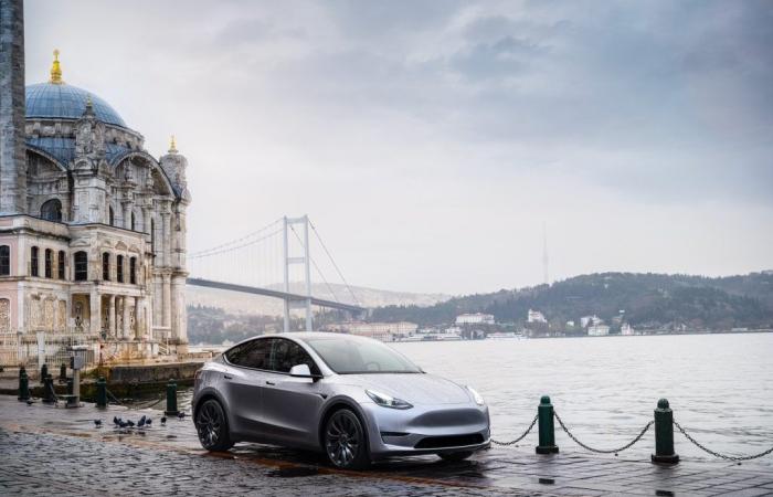 Tesla Model Y is still the best-selling electric of the month, but the others are gaining ground