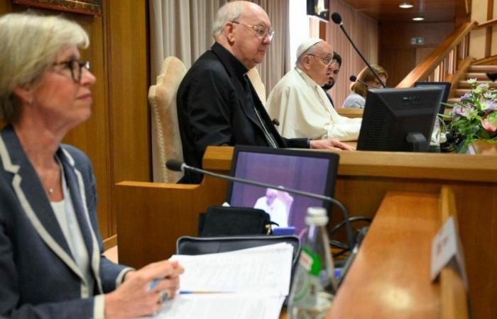 Synodality and mission, the meeting of the moderators of the movements in the Vatican