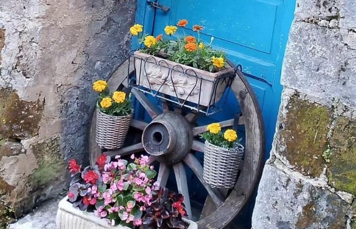 Casertavecchia in Fiore, on 15 and 16 June an explosion of colors in the streets of the medieval village |