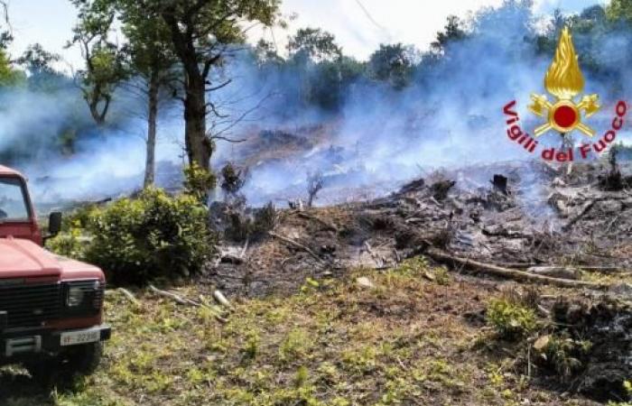 FIREFIGHTERS ENGAGED IN MONTEGALLO FOR THE FIRE IN A CHESTNUT grove – FOTOSPOT AGENCY