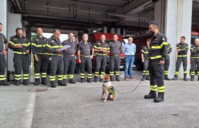 The dog Leaf bids farewell to the firefighters, greetings from his “colleagues”