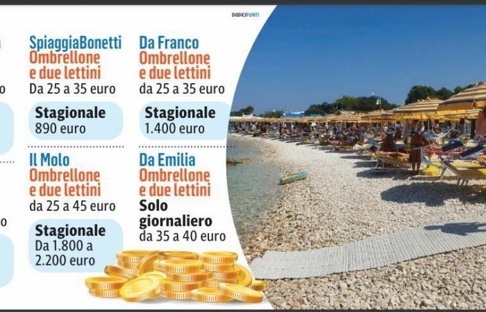 Sunbathing is worth its weight in gold and reservations are sold out: Portonovo, everyone wants you
