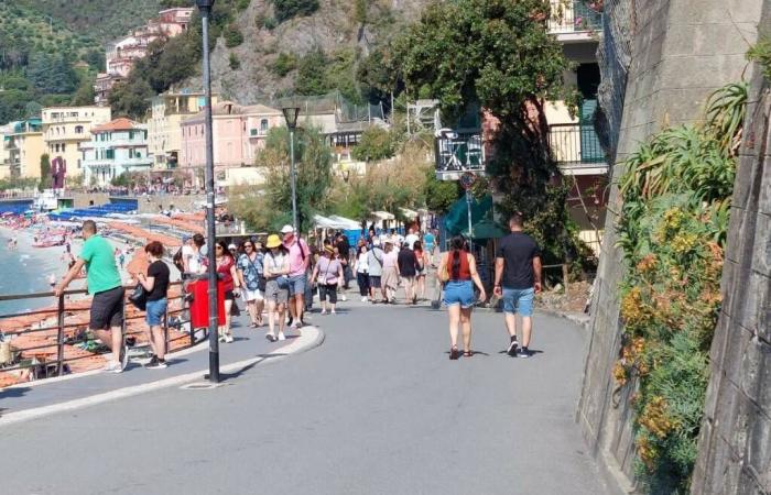 Work, in the province of La Spezia almost 2500 hires are expected in June