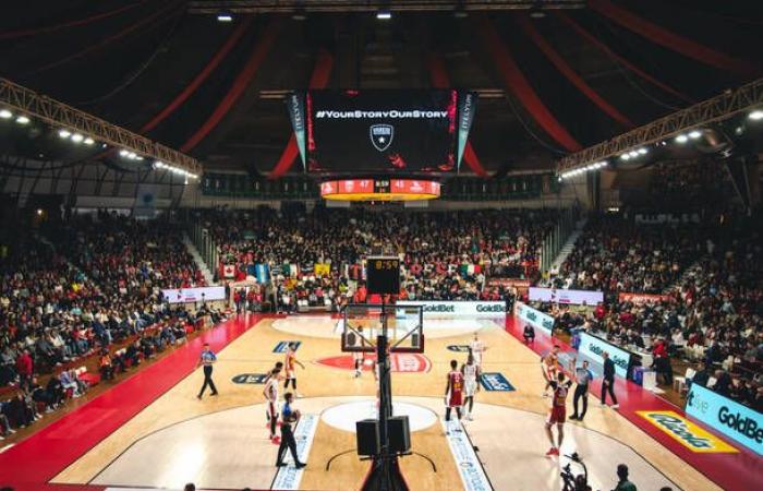 Varese Basketball, VSE consolidates. Luca Magnoni among the new entries