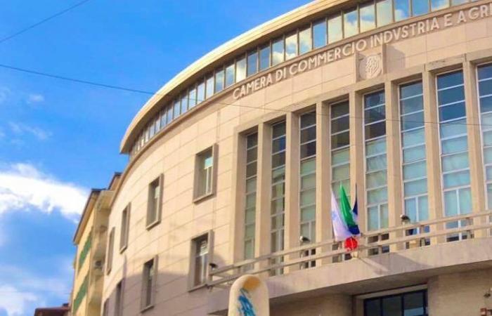 Alternative instruments of Justice, the Cosenza Chamber of Commerce at the forefront