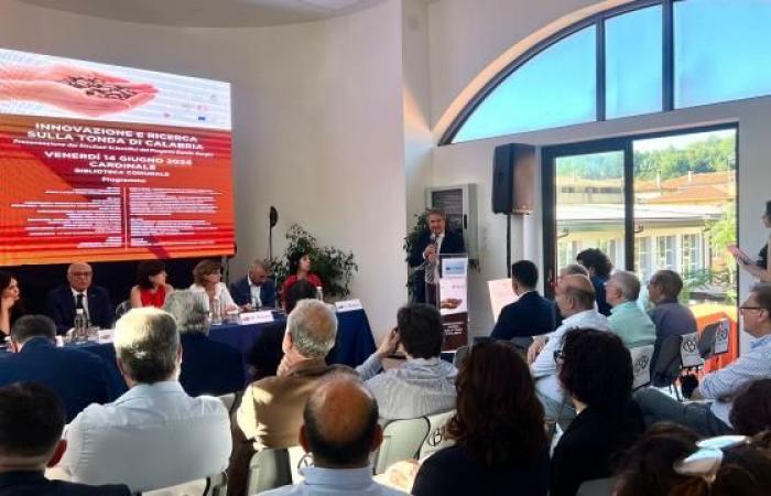 President Mancuso to Cardinale for the “Tonda d Calabria”