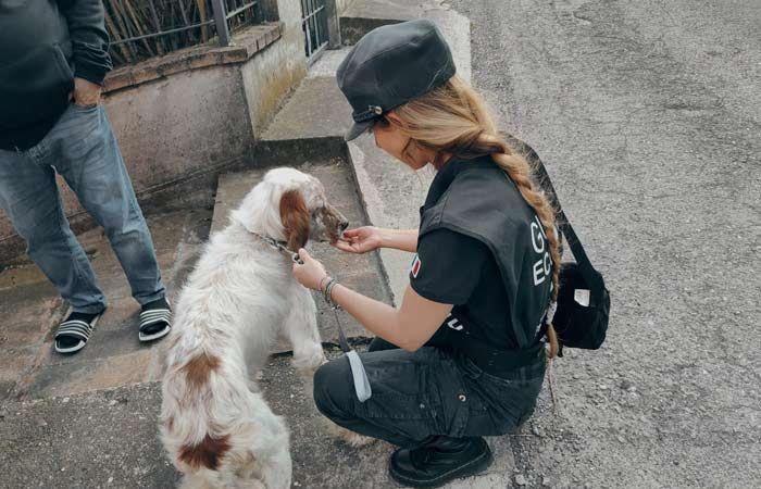 Modena, an abandoned setter seized. The holder reported