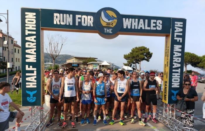 record number of people registered for the ‘Run for the whales’, registrations on site today and tomorrow – Sanremonews.it