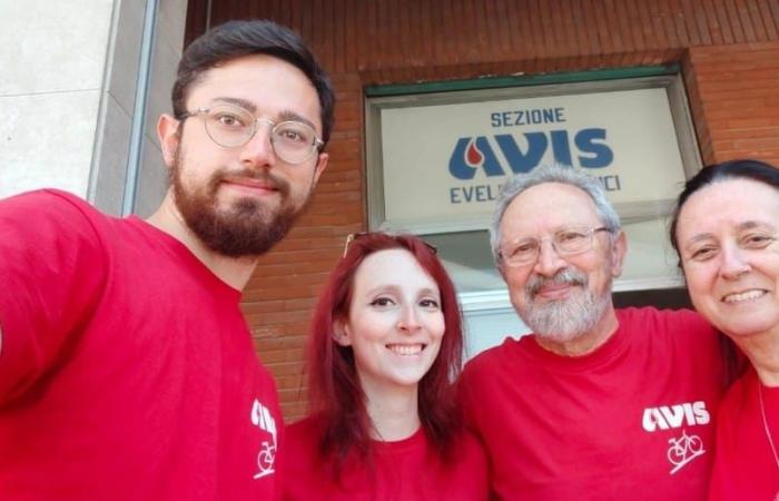 Donor day, the president of Avis: «First brands in Italy for blood, but there is a shortage of plasma» – News Ancona-Osimo – CentroPagina