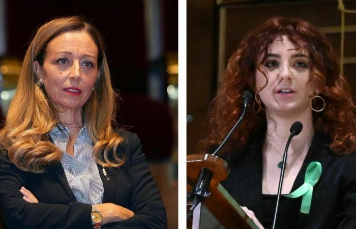 Clash at the University of Padua, Emma Ruzzon: «Zionist barons in the Senate». Rector Mapelli: «Vulgar and offensive words»