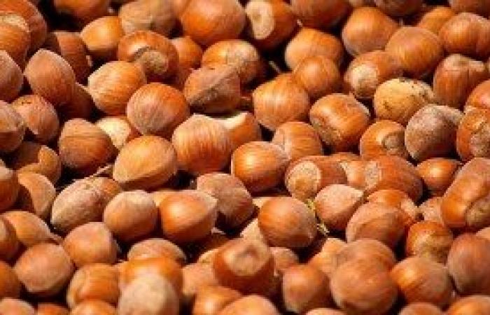 supply chain agreement with ‘Novi Elah Dufour’ for Piedmont hazelnuts. Signing today