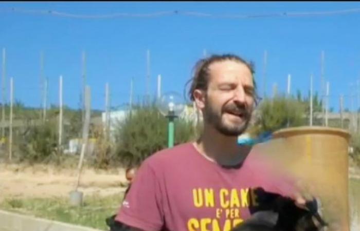Crotone: Giandomenico, fined 1,500 euros by the ASP for saving and looking after stray dogs