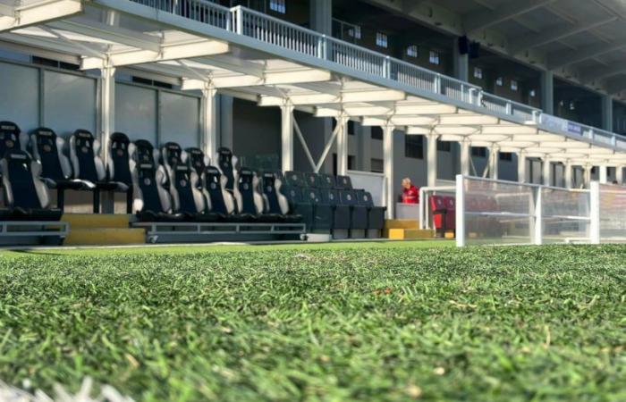 Franchi and Bertoni Stadium, Municipality will entrust structures to Siena Fc
