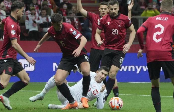 Euro, 2024, Italy-Albania, what you need to know about the Albanian national team