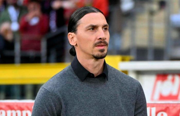 Ibra, the first words in the new role at Milan: armor for Fonseca