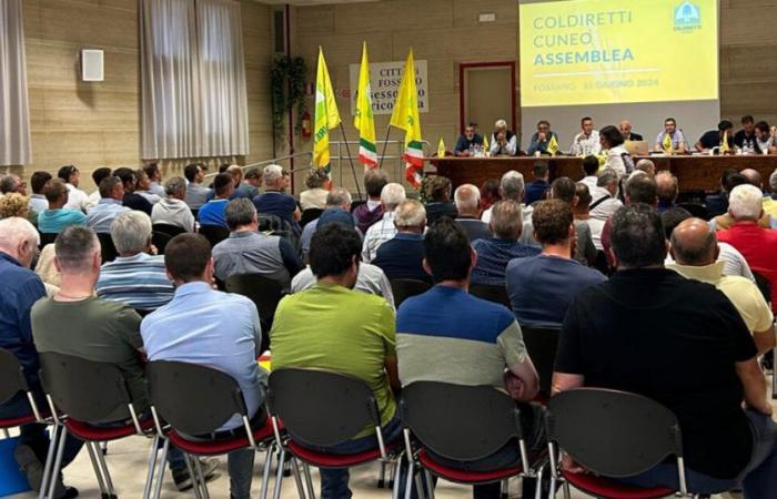 Coldiretti Cuneo: “Many priorities, ready for the season of mobilizations” – The Guide