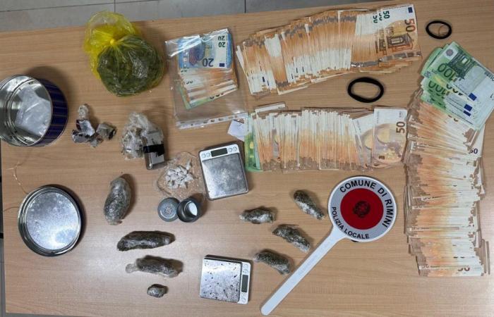 Drug dealing in a pizzeria in Rimini, 4 ounces of drugs seized